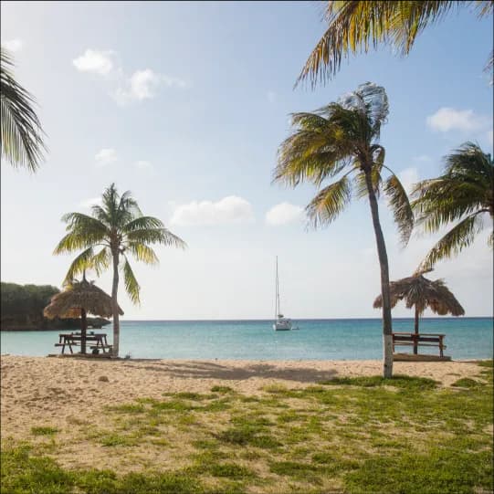 Jamaica eSIM | Jamaica Prepaid Data Plan | BeachSIM