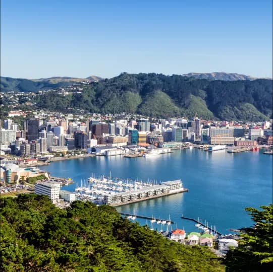 New Zealand eSIM | New Zealand Prepaid Data Plan | BeachSIM