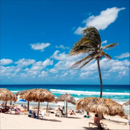 Trinidad and Tobago eSIM | Prepaid Data Plan | BeachSIM