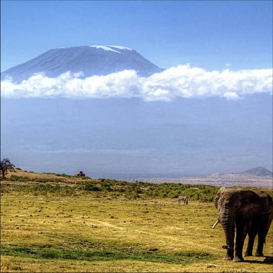 Tanzania eSIM | Tanzania Prepaid Data Plan | BeachSIM