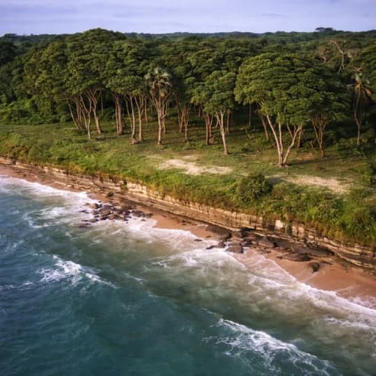Gabon eSIM | Gabon Prepaid Data Plan | BeachSIM
