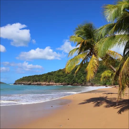 Guadeloupe eSIM | Guadeloupe Prepaid Data Plan | BeachSIM