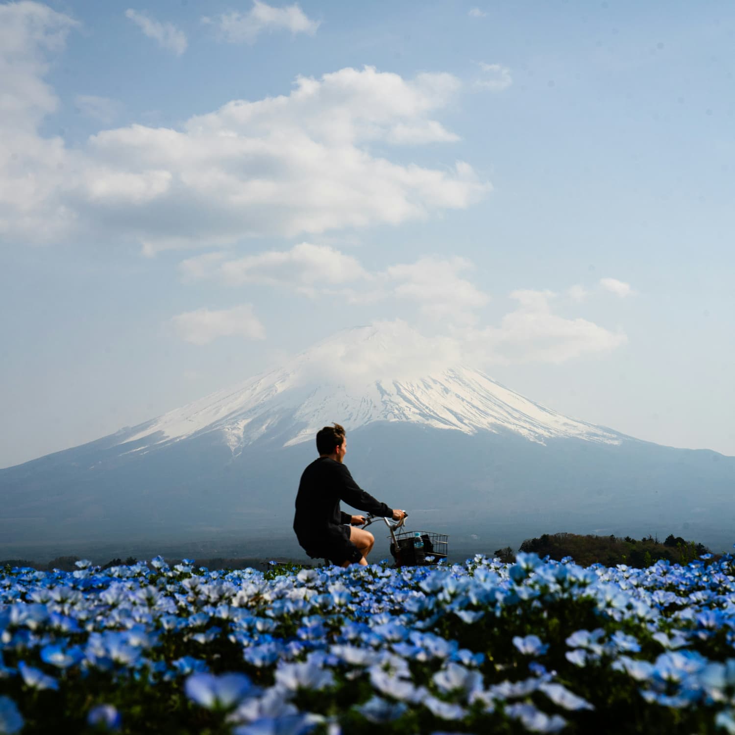 The Real Solo Japan Guide for 2026