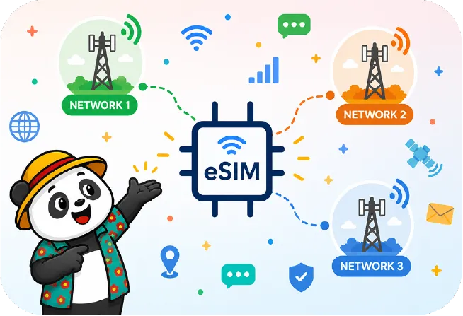 Better Than a Local eSIM